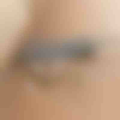 Τηλεσκοπικός καθαριστής σκόνης | ARTICLEAN