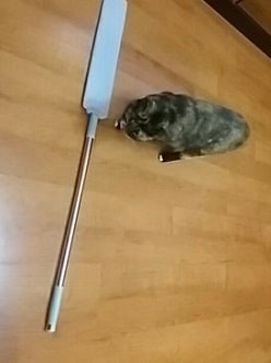 ARTICLEAN_TESTIMONIAL_IMG1