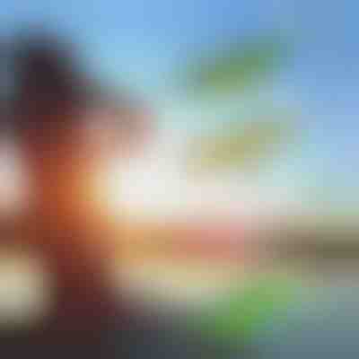 Δολώματα αλιείας (σετ των 4) | AQUALURE