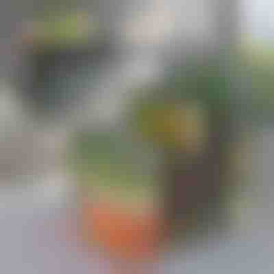 Κουτί οργάνωσης ψυγείου | FRESHDISH