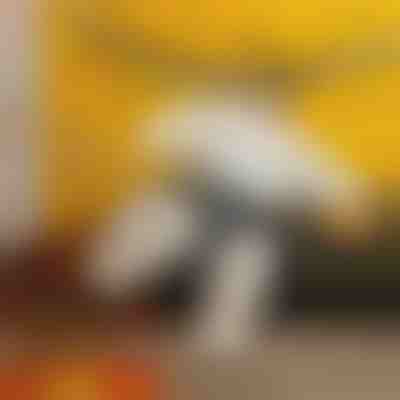 Φουσκωτό κοστούμι σούμο | SUMOCOS