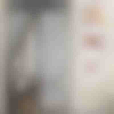 Μαγνητική κουνουπιέρα πόρτας | INSECTPROTECT