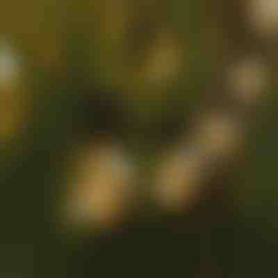 LED λαμπάκια | YARDBULBS