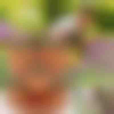 Ζαρντινιέρες για Κάθετη Στοίβαξη | PLANTUP