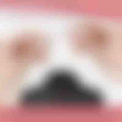 Μαγνητικό κούμπωμα κολιέ (12 τεμ.) | MAGILINK