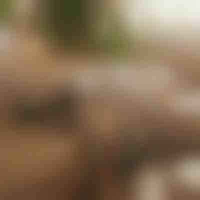 Μαγνητικός αυτοκόλλητος οργανωτής καλωδίων (12 τεμάχια) | CABLIP