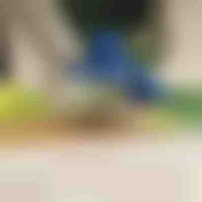 Ηλεκτρικός αποφλοιωτής φρούτων και λαχανικών | PEELMATIC